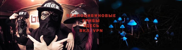 соль курить ск Инсар