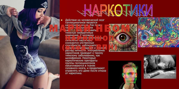 соль курить ск Инсар