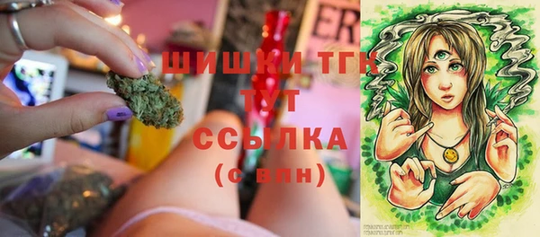 гашик Иннополис