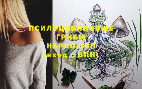 гашик Иннополис