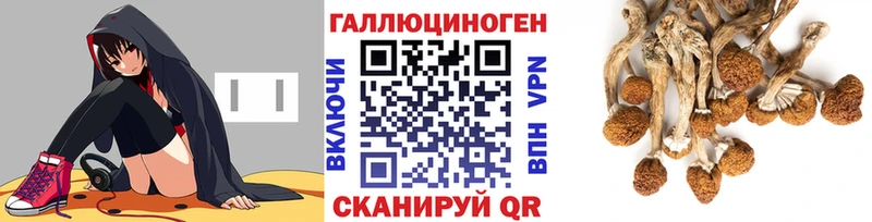Псилоцибиновые грибы прущие грибы  Купить  Ивангород 